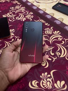 vivo