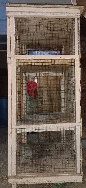 heavy wooden cage for chicks & Baggies 1