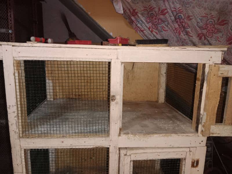 heavy wooden cage for chicks & Baggies 2