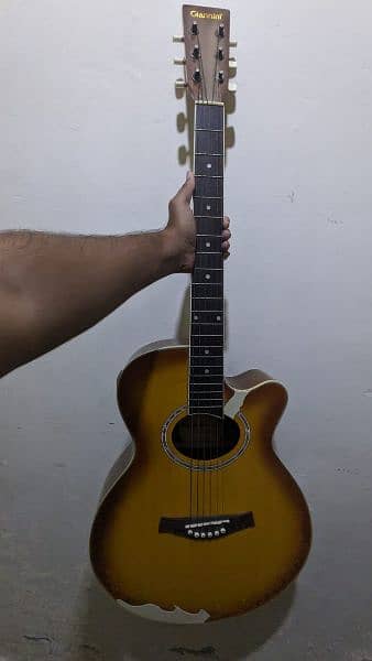 Guitar 6