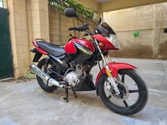 Yamaha YBR 125 2019