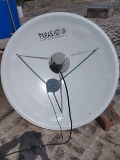 Dish