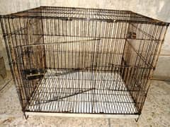 7 pieces 2/1.5 birds iron cage