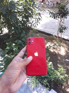 IPhone 11 64Gb Non pta