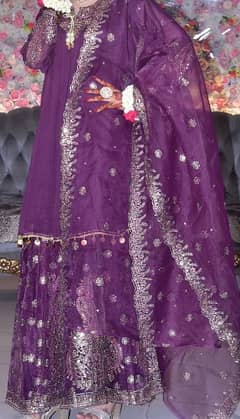 purple sharara