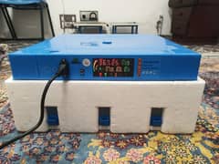 64 eggs automatic AC DC incubator