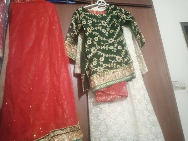 brand new mehndi lehnga 3