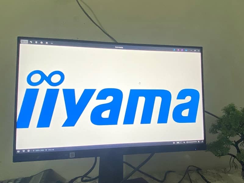 24 inch Iiyama 1080p 75hz monitor for Sale 2