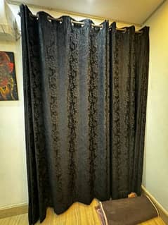 Black self design curtain