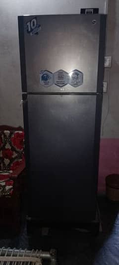 pel fridge 1 year warranty sale 0