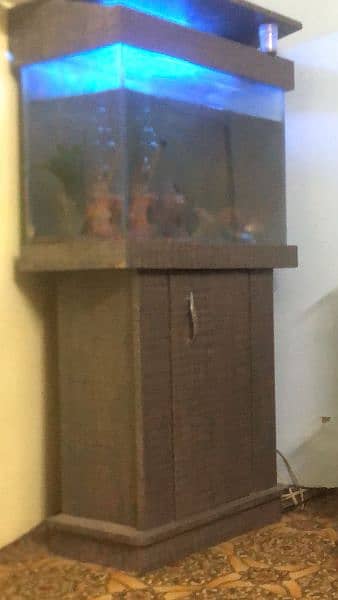 aquarium with fishes for sale 2