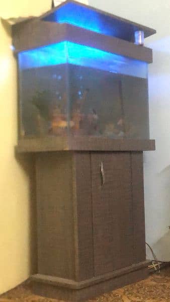 aquarium with fishes for sale 3