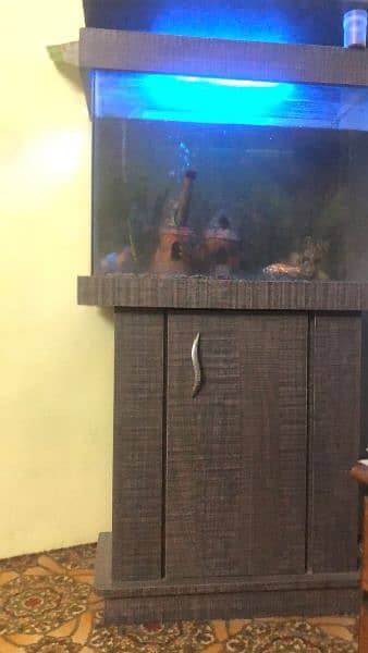 aquarium with fishes for sale 4