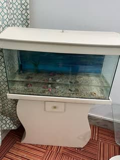 3 ft fish aquarium for sale with fishes