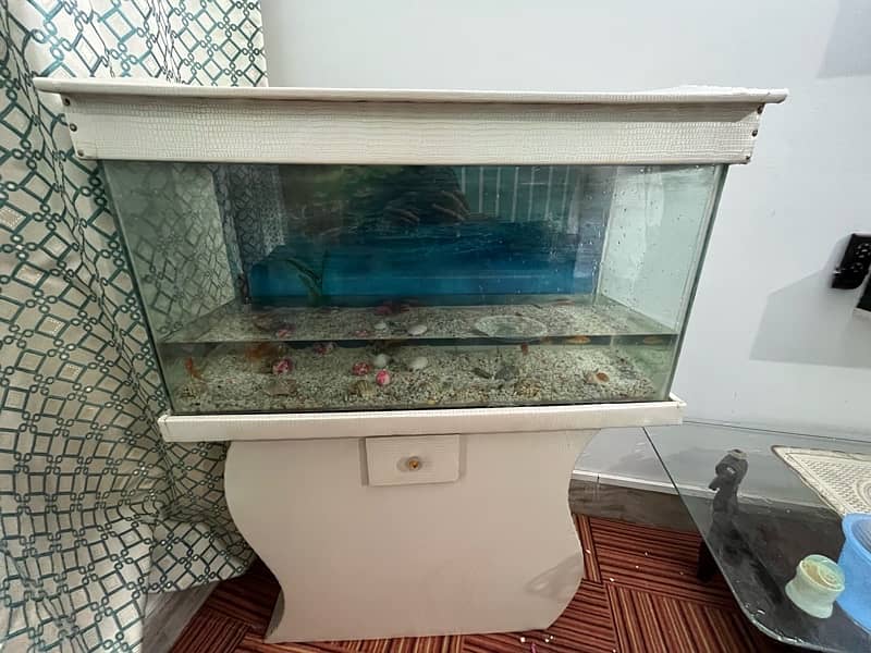 3 ft fish aquarium for sale with fishes 1