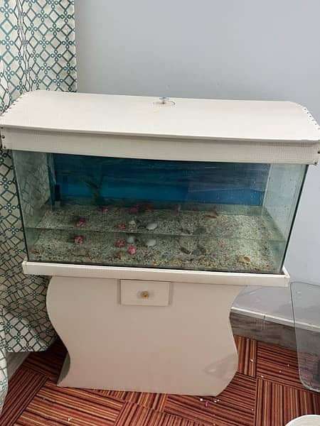 3 ft fish aquarium for sale with fishes 4