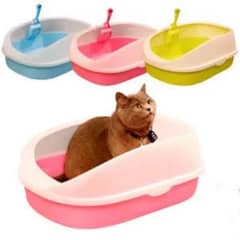 cat accessories at low prices 0