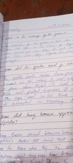 hand writing assiginment work