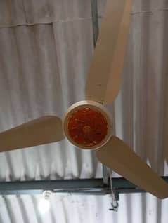 New fancy fan