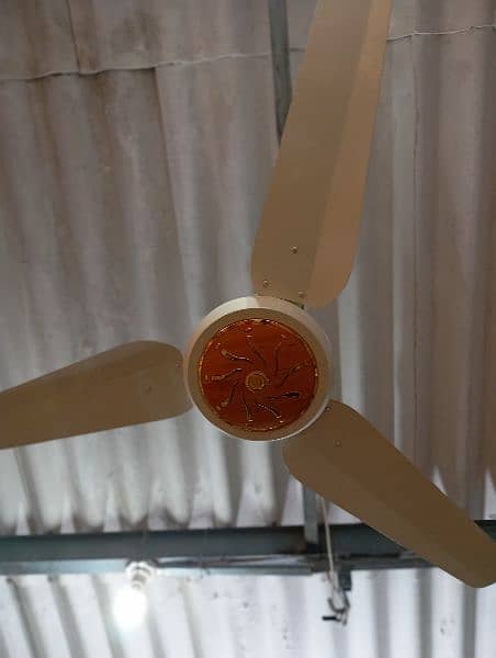 New fancy fan 0