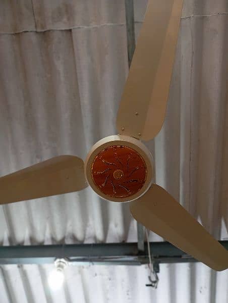 New fancy fan 1