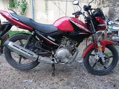 Yamaha YBR 125 2024