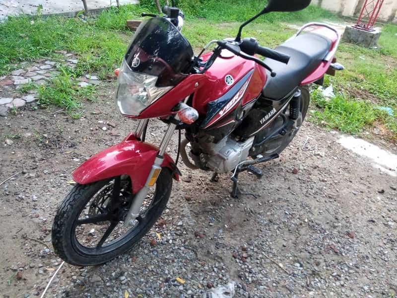 Yamaha YBR 125 2024 2