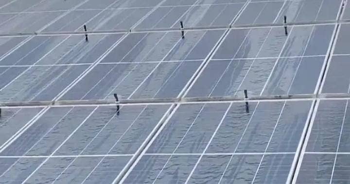 Solar Panel Cleaning / Solar Maintenance / Solar Services 2