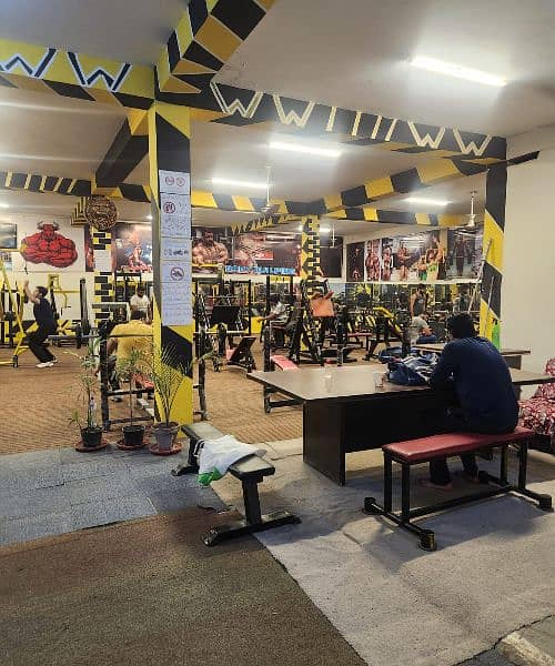 all commercial Gym masheens total setep sale 14