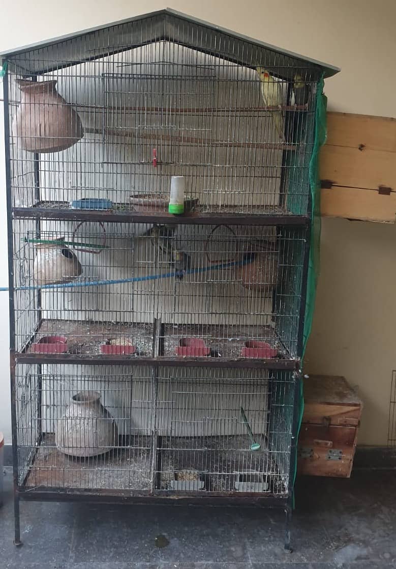 cocktail family of 5 pcs    and Cage of 3  portion 1