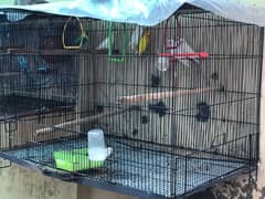 BIG SIZE CAGE FOR SALE