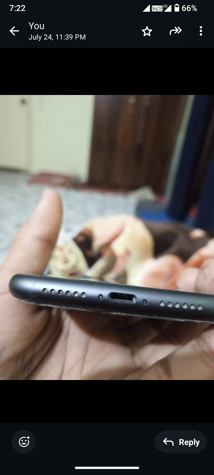 iphone 11 non-pta 3