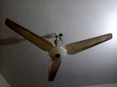 Celling Fan Running Good Condition For Sale