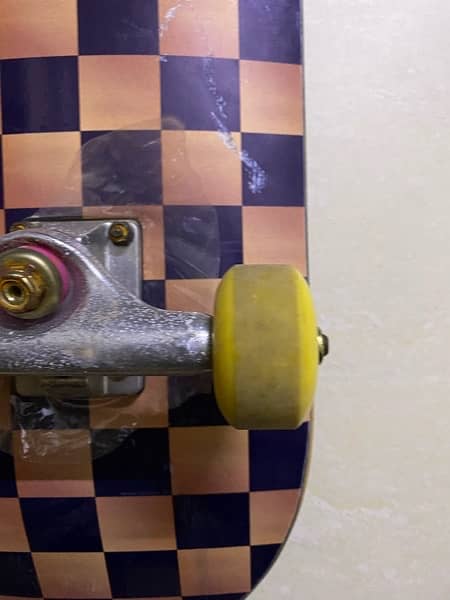 Apollo Canadian maple skateboard 3