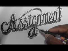 handwriting assignment work 0