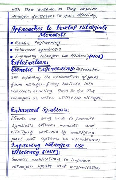 handwriting assignment work 6