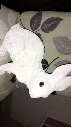 beautiful rabbit  decoration piece