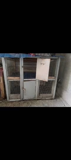 cage for sale urgent sale