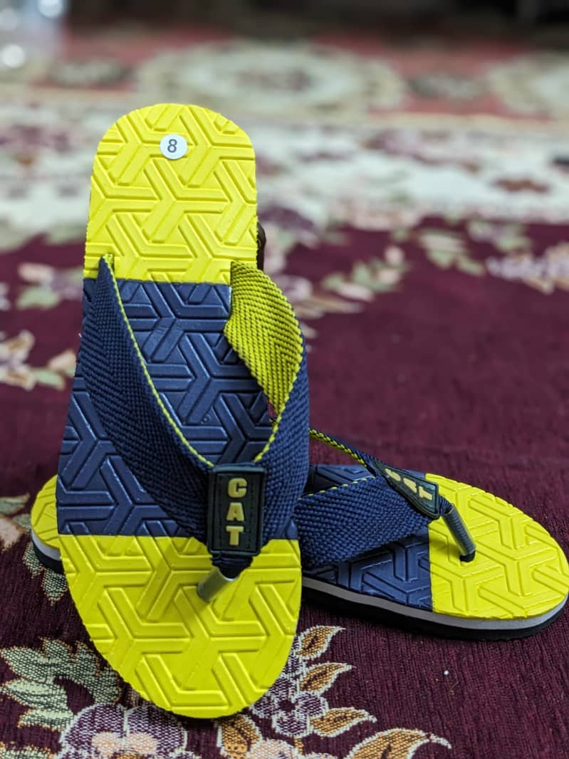 Flip-Flop Chappals (Manufacturer & Wholesaler) 2