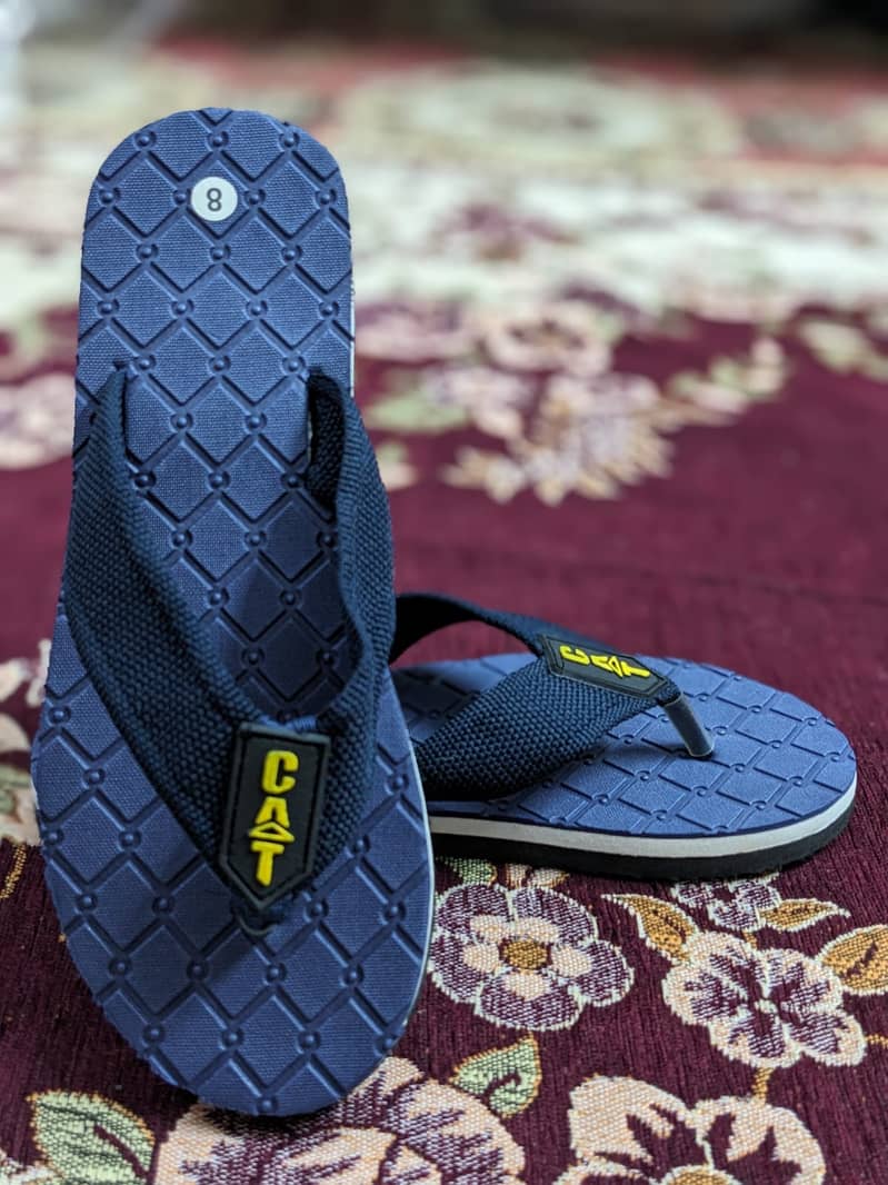 Flip-Flop Chappals (Manufacturer & Wholesaler) 3