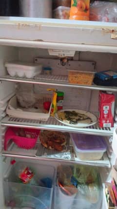 Us fridge