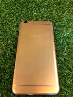 vivo y55