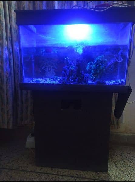 fish farm for sale size full pirce. 10hazr phone number 03475642749 2