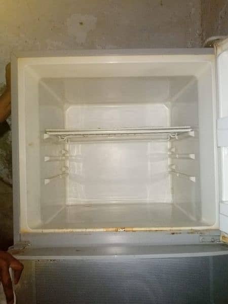 freezer 1