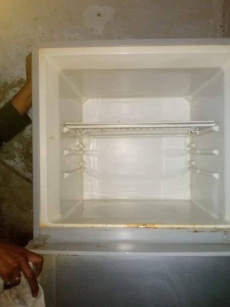 freezer 2