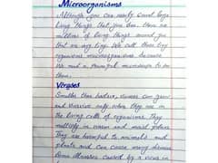 handwritting assignment work