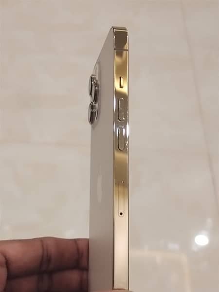 iphone 12 pro max 256gb pta approved 4