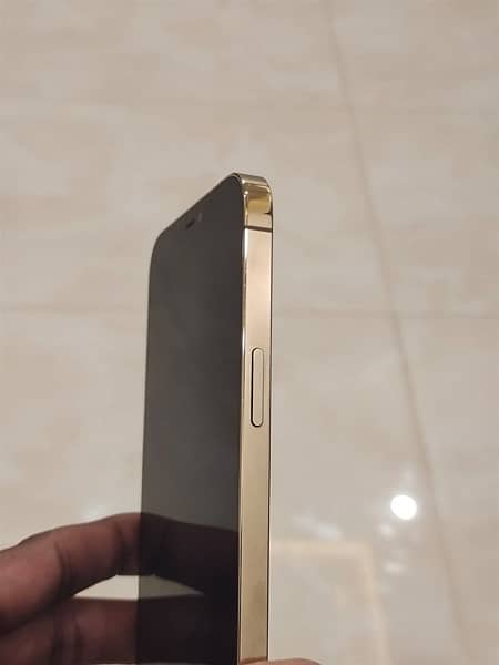 iphone 12 pro max 256gb pta approved 5