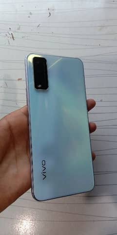 vivo