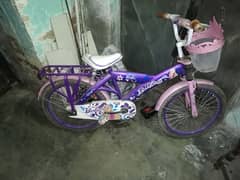 barbi cycle